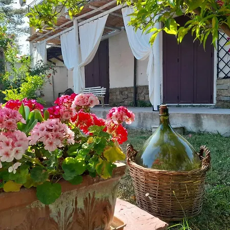 Alba Casa * Agropoli