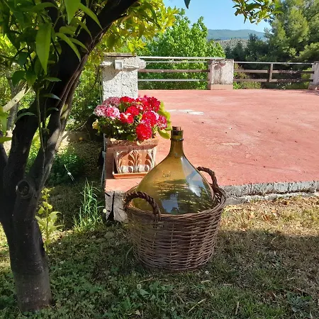 Alba Casa *